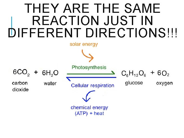 THEY ARE THE SAME REACTION JUST IN DIFFERENT DIRECTIONS!!! 