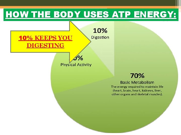 HOW THE BODY USES ATP ENERGY: 10% KEEPS YOU DIGESTING copy… 