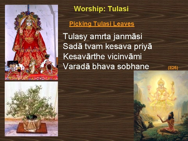 Worship: Tulasi Picking Tulasi Leaves Tulasy amrta janmāsi Sadā tvam kesava priyā Kesavārthe vicinvāmi
