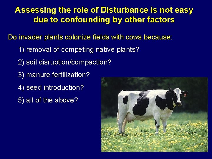 Assessing the role of Disturbance is not easy due to confounding by other factors