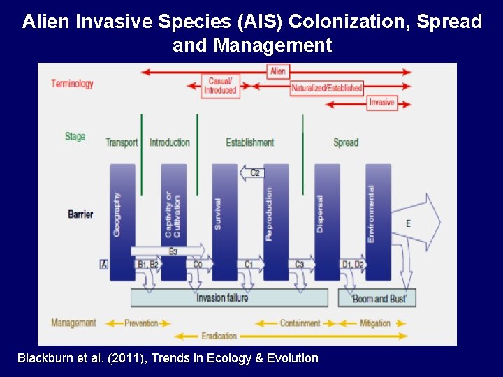 Alien Invasive Species (AIS) Colonization, Spread and Management Blackburn et al. (2011), Trends in