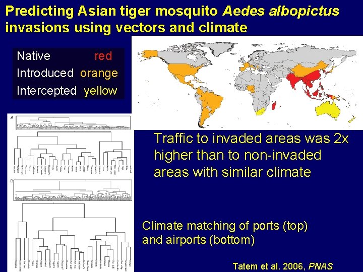 Predicting Asian tiger mosquito Aedes albopictus invasions using vectors and climate Native region: red