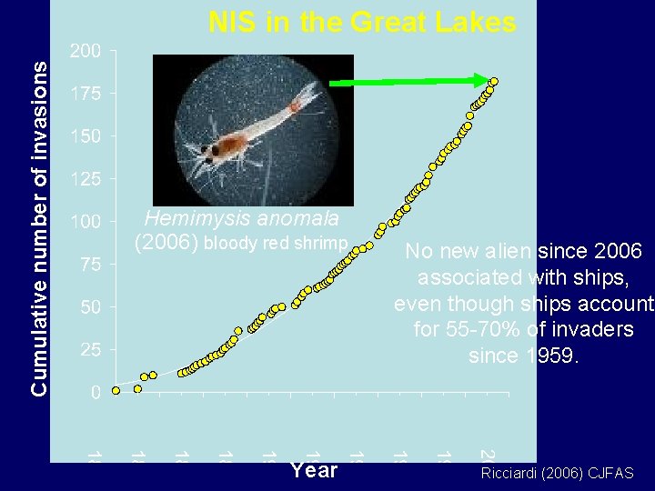 Cumulative number of invasions NIS in the Great Lakes Hemimysis anomala (2006) bloody red