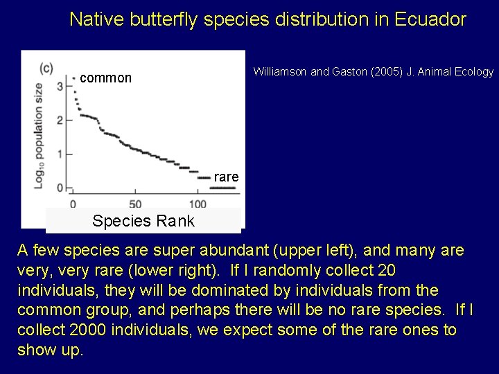 Native butterfly species distribution in Ecuador Williamson and Gaston (2005) J. Animal Ecology common