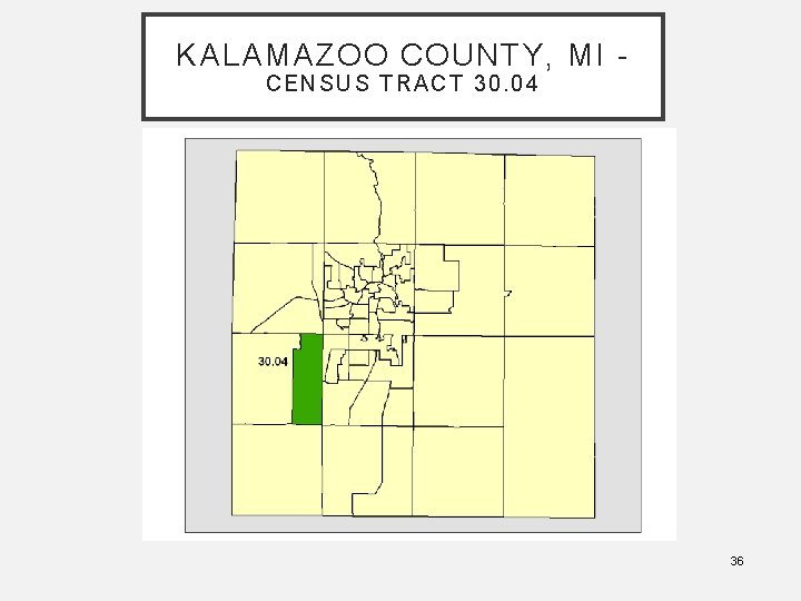 KALAMAZOO COUNTY, MI CE NS US TRACT 30. 04 36 