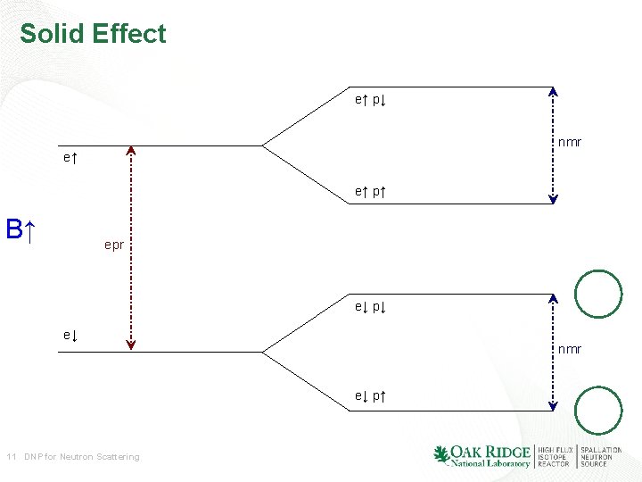 Solid Effect e↑ p↓ nmr e↑ e↑ p↑ B↑ epr e↓ p↓ e↓ nmr Solid Effect e↑ p↓ nmr e↑ e↑ p↑ B↑ epr e↓ p↓ e↓ nmr