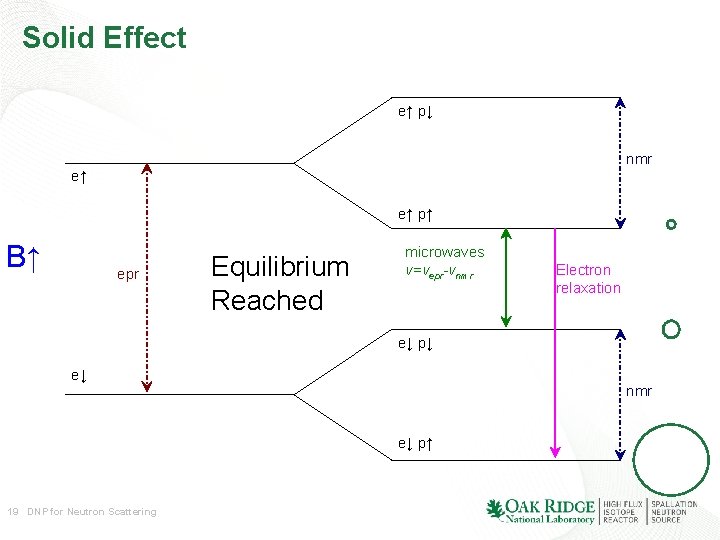 Solid Effect e↑ p↓ nmr e↑ e↑ p↑ B↑ epr Equilibrium Reached microwaves ν=νepr-νnmr Solid Effect e↑ p↓ nmr e↑ e↑ p↑ B↑ epr Equilibrium Reached microwaves ν=νepr-νnmr