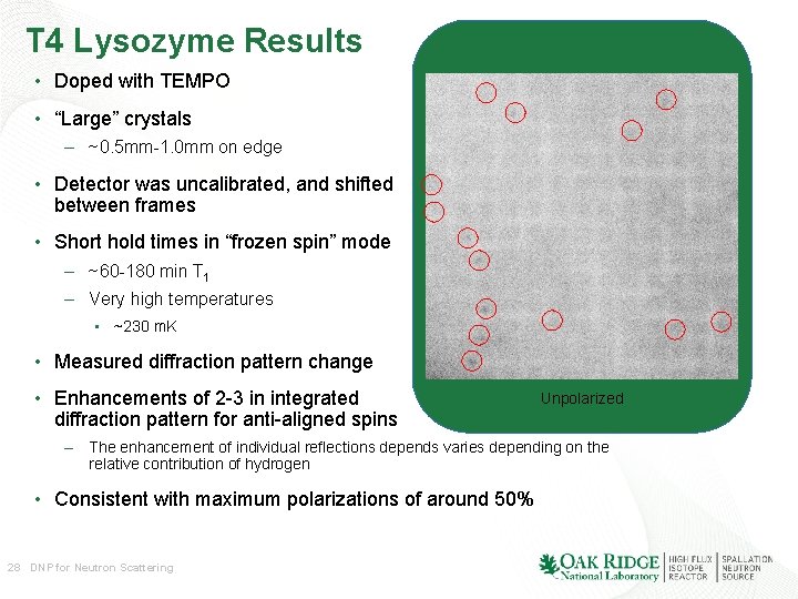 T 4 Lysozyme Results • Doped with TEMPO • “Large” crystals – ~0. 5 T 4 Lysozyme Results • Doped with TEMPO • “Large” crystals – ~0. 5