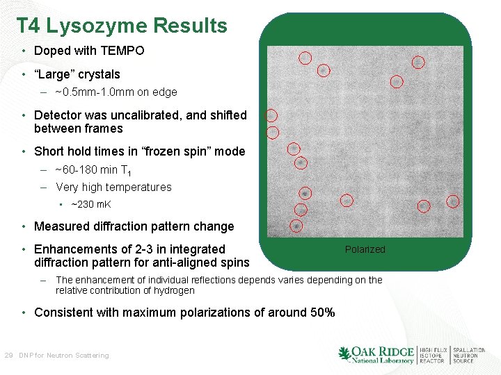 T 4 Lysozyme Results • Doped with TEMPO • “Large” crystals – ~0. 5 T 4 Lysozyme Results • Doped with TEMPO • “Large” crystals – ~0. 5