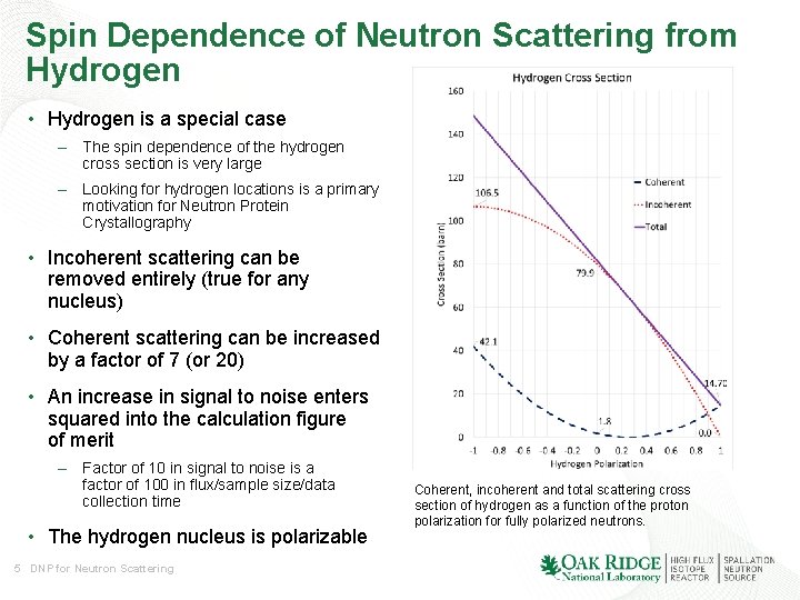 Spin Dependence of Neutron Scattering from Hydrogen • Hydrogen is a special case – Spin Dependence of Neutron Scattering from Hydrogen • Hydrogen is a special case –
