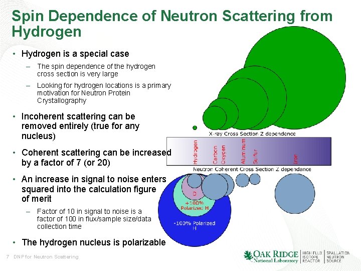 Spin Dependence of Neutron Scattering from Hydrogen • Hydrogen is a special case – Spin Dependence of Neutron Scattering from Hydrogen • Hydrogen is a special case –