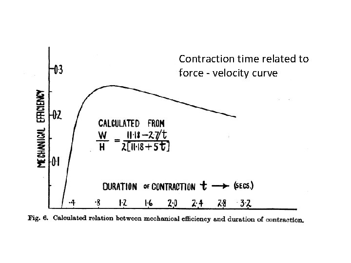 Contraction time related to force - velocity curve 