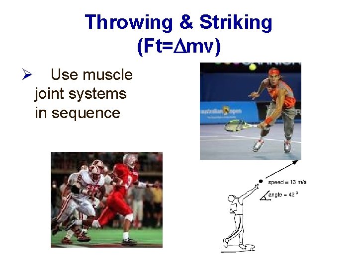 Throwing & Striking (Ft= mv) Use muscle joint systems in sequence 