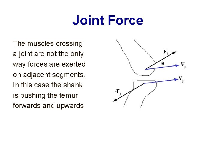 Joint Force The muscles crossing a joint are not the only way forces are