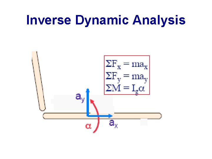 Inverse Dynamic Analysis 