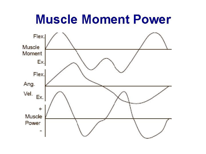 Muscle Moment Power 