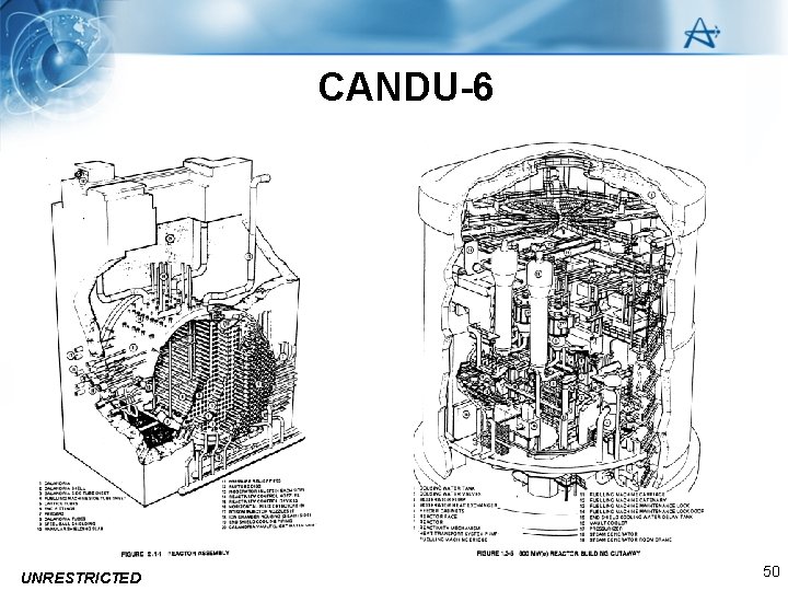 CANDU-6 • fdsa UNRESTRICTED 50 