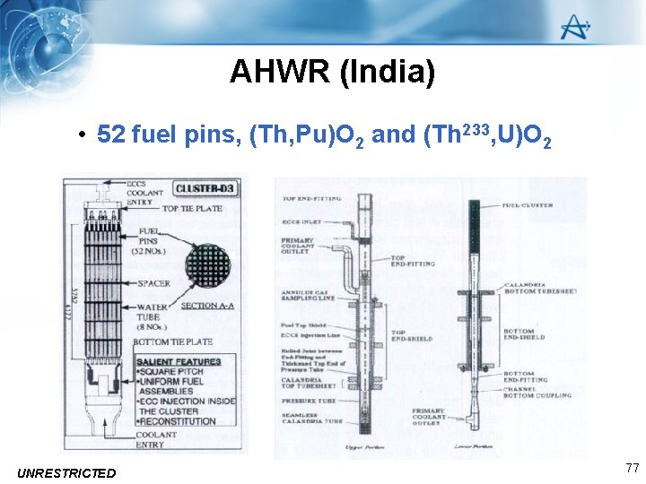 AHWR (India) • 52 fuel pins, (Th, Pu)O 2 and (Th 233, U)O 2