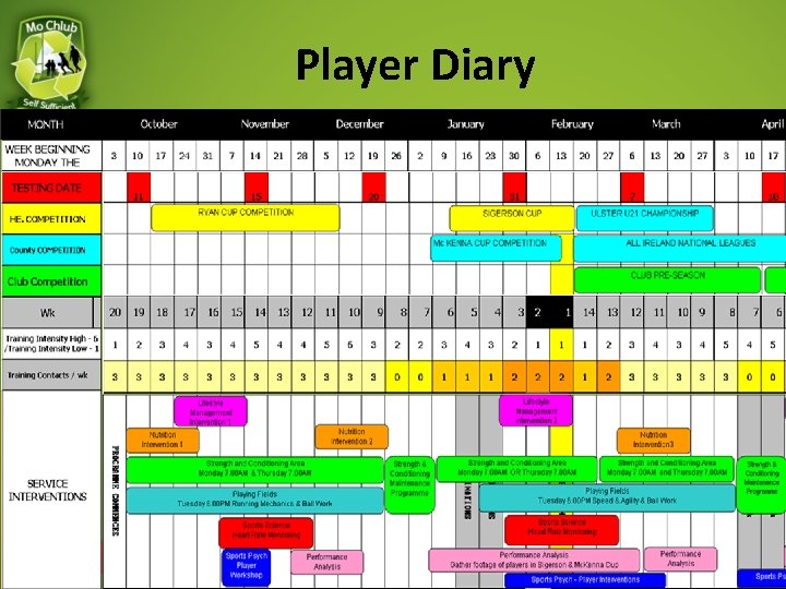 Player Diary 