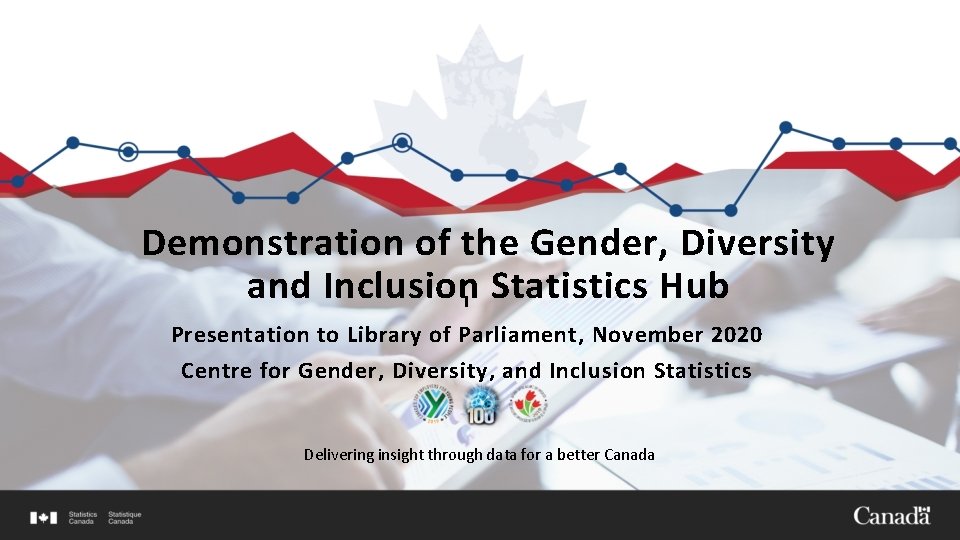 Demonstration of the Gender, Diversity and Inclusion Statistics Hub I Presentation to Library of