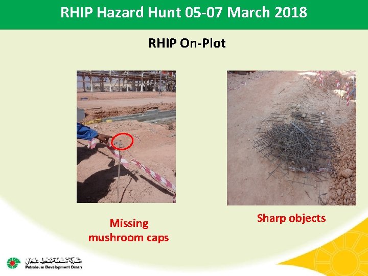 RHIP Hazard Hunt 05 -07 March 2018 RHIP On-Plot Missing mushroom caps Sharp objects