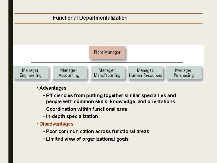 Functional Departmentalization • Advantages • Efficiencies from putting together similar specialties and people with