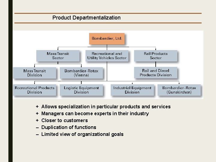 Product Departmentalization + + + – – Allows specialization in particular products and services