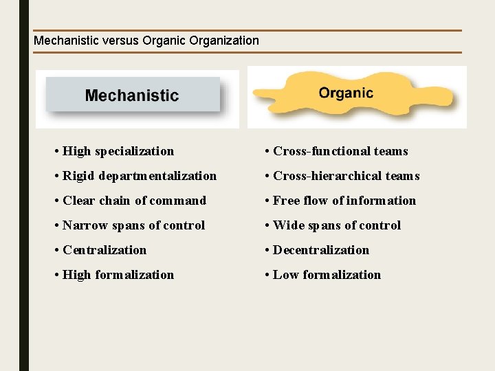 Mechanistic versus Organic Organization • High specialization • Cross-functional teams • Rigid departmentalization •