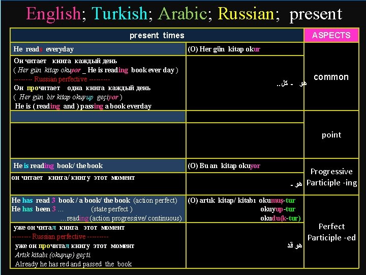 English; Turkish; Arabic; Russian; present times ASPECTS times He reads everyday (O) Her gün