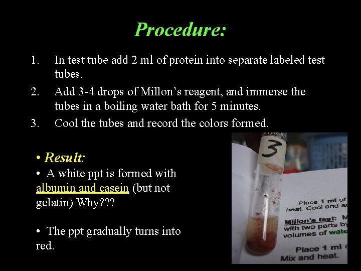 Procedure: 1. 2. 3. In test tube add 2 ml of protein into separate Procedure: 1. 2. 3. In test tube add 2 ml of protein into separate
