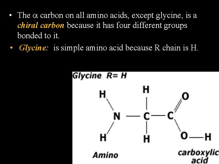 • The carbon on all amino acids, except glycine, is a chiral carbon • The carbon on all amino acids, except glycine, is a chiral carbon
