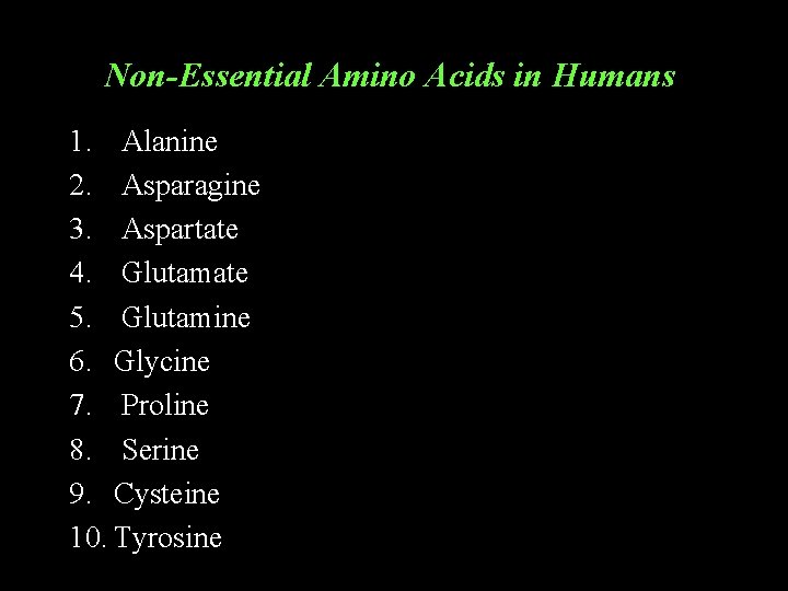 Non-Essential Amino Acids in Humans 1. Alanine 2. Asparagine 3. Aspartate 4. Glutamate 5. Non-Essential Amino Acids in Humans 1. Alanine 2. Asparagine 3. Aspartate 4. Glutamate 5.
