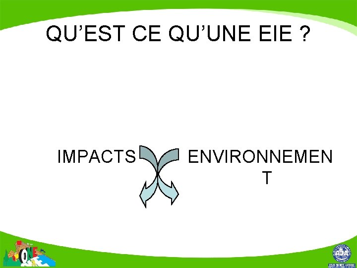 QU’EST CE QU’UNE EIE ? IMPACTS ENVIRONNEMEN T 