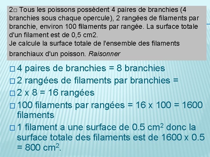 2□ Tous les poissons possèdent 4 paires de branchies (4 branchies sous chaque opercule),