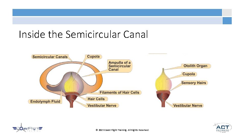 Inside the Semicircular Canal © 2015 Coast Flight Training. All Rights Reserved. 