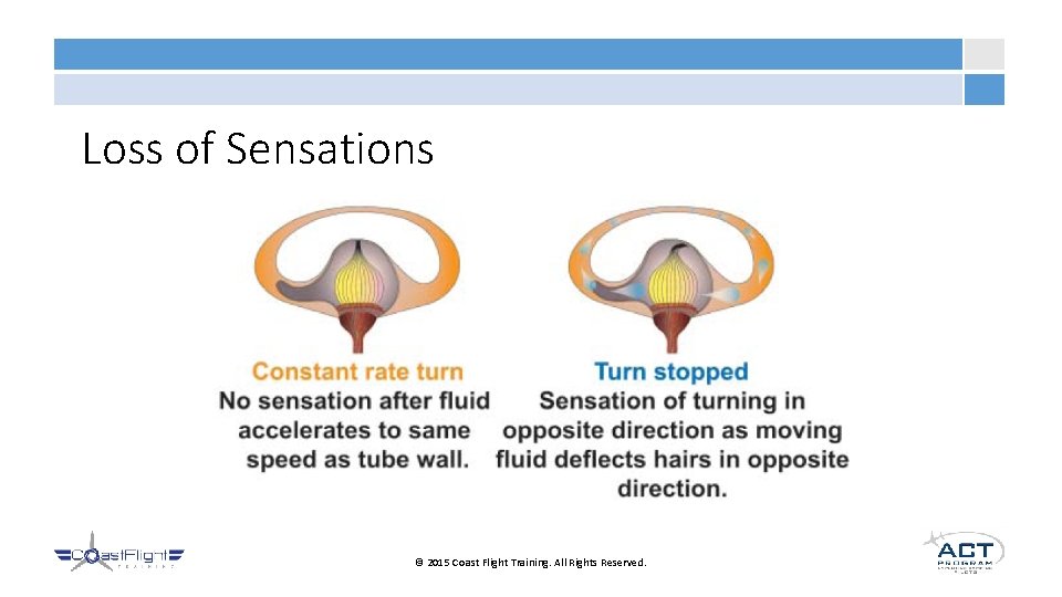 Loss of Sensations © 2015 Coast Flight Training. All Rights Reserved. 