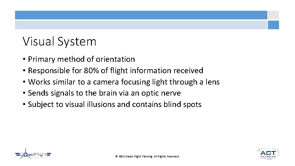 Visual System • Primary method of orientation • Responsible for 80% of flight information