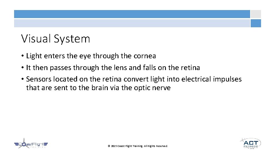 Visual System • Light enters the eye through the cornea • It then passes