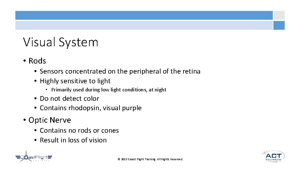 Visual System • Rods • Sensors concentrated on the peripheral of the retina •