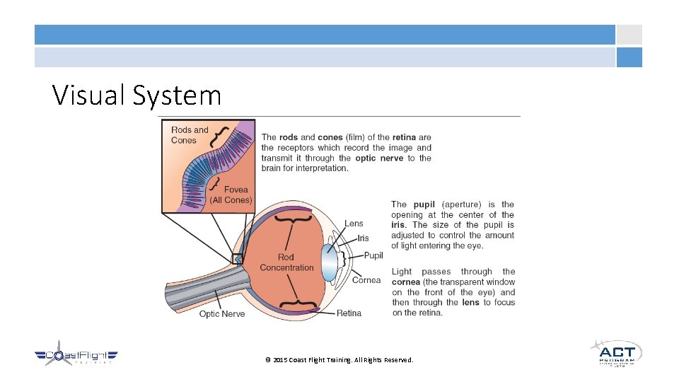 Visual System © 2015 Coast Flight Training. All Rights Reserved. 