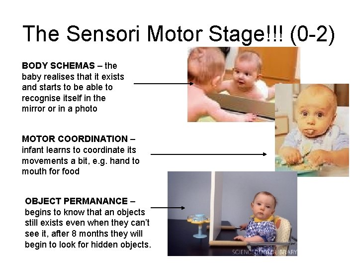 The Sensori Motor Stage!!! (0 -2) BODY SCHEMAS – the baby realises that it
