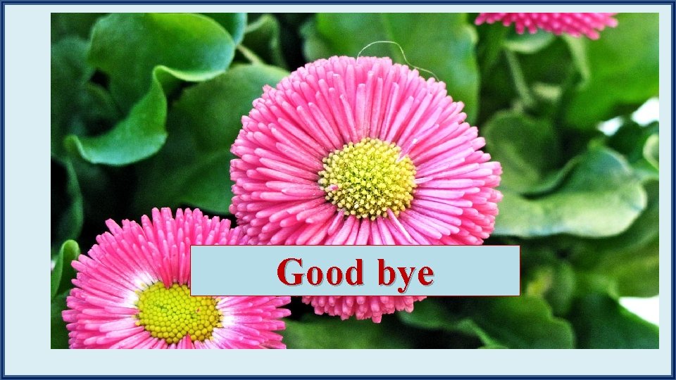 Good bye 