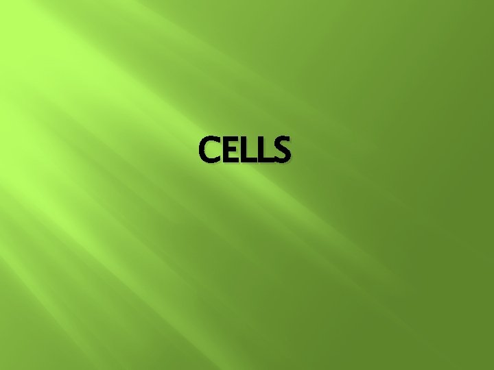 CELLS 