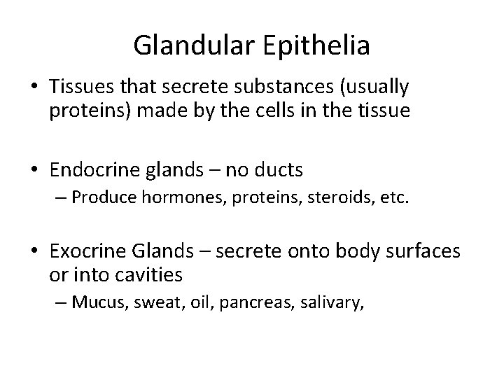 Glandular Epithelia • Tissues that secrete substances (usually proteins) made by the cells in
