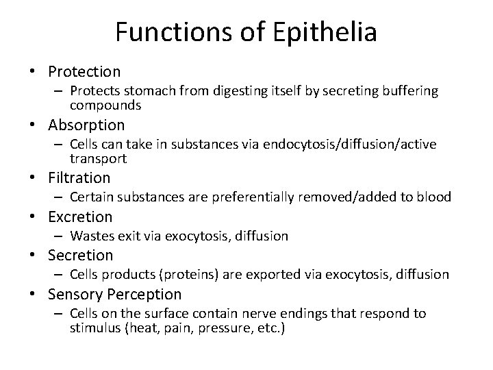 Functions of Epithelia • Protection – Protects stomach from digesting itself by secreting buffering