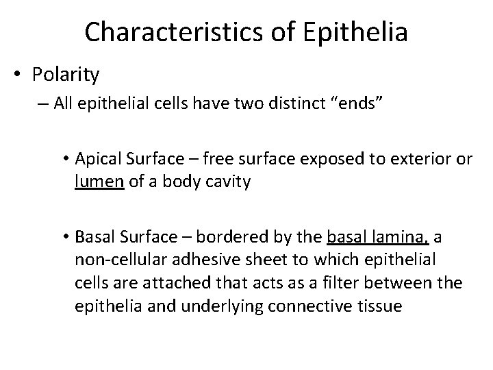 Characteristics of Epithelia • Polarity – All epithelial cells have two distinct “ends” •