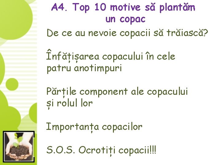 A 4. Top 10 motive să plantăm un copac De ce au nevoie copacii