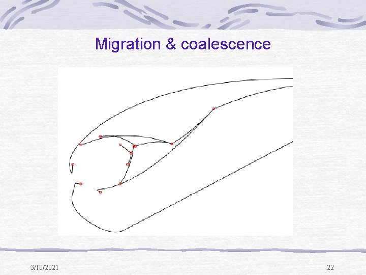 Migration & coalescence 3/10/2021 22 