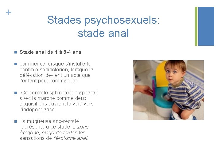 + Stades psychosexuels: stade anal n Stade anal de 1 à 3 -4 ans