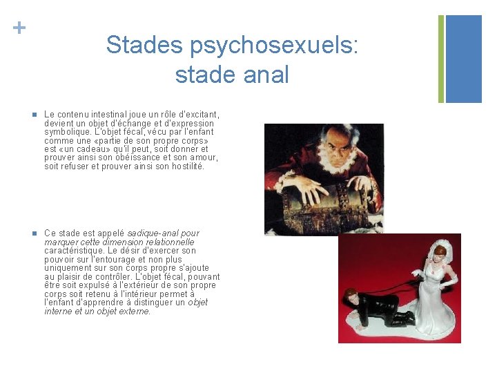 + Stades psychosexuels: stade anal n Le contenu intestinal joue un rôle d’excitant, devient